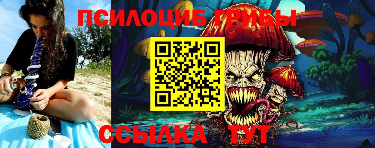 Волжский  Псилоцибиновые грибы Cubensis  Вход с VPN 