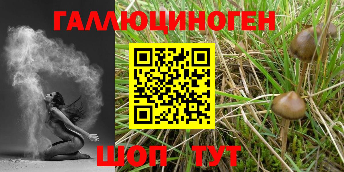 Галлюциногенные грибы GOLDEN TEACHER Волжский